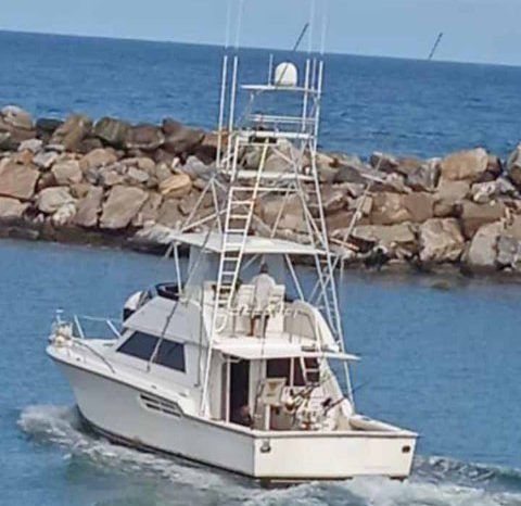 
								TIARA SPORT FISHERMAN 43 full									