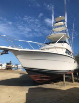 
										TIARA SPORT FISHERMAN 43 full									