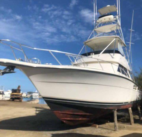 
								TIARA SPORT FISHERMAN 43 full									