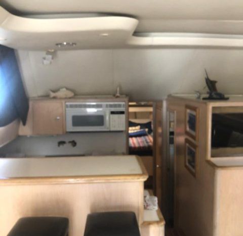 
								TIARA SPORT FISHERMAN 43 full									
