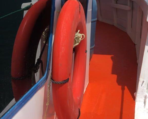 
								BARCO FIBRA DE PESCA 19 MTRS full									
