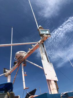 
										BARCO FIBRA DE PESCA 19 MTRS full									