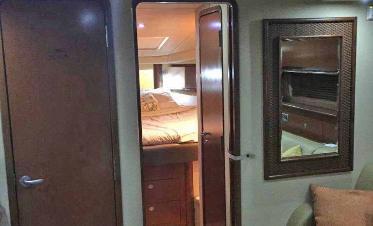 
								SEA RAY SUNDANCER 41 full									