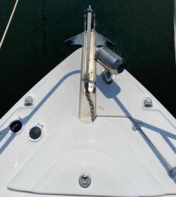 
										FOUR WINNS VISTA 358 full									