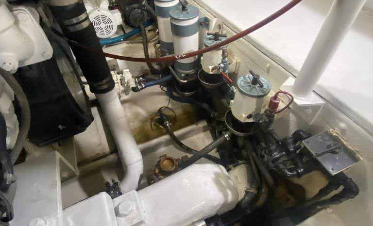 
								BERTRAM 60 full									