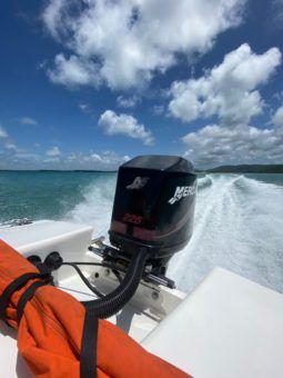 
										DA SILVA CHALLENGER 21 full									
