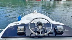 
										BERTRAM MOPPIE 46 full									