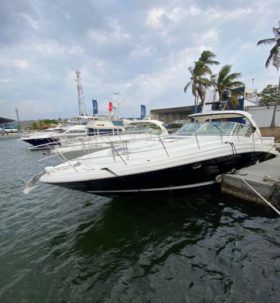 SEA RAY SUNDANCER 44