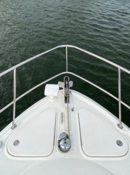 
										SEA RAY SUNDANCER 44 full									