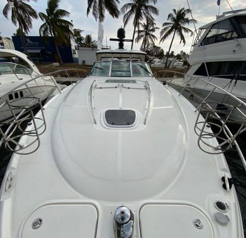 
								SEA RAY SUNDANCER 44 full									