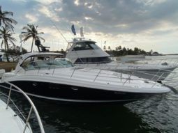 
										SEA RAY SUNDANCER 44 full									