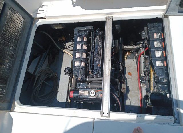 
								SEA RAY SEDAN BRIDGE 35 full									