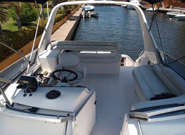 
								SEA RAY SEDAN BRIDGE 35 full									