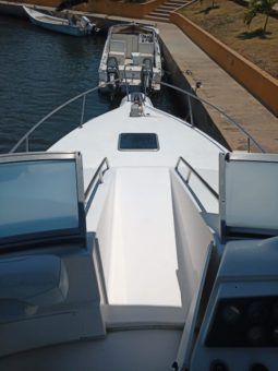
										SEA RAY SEDAN BRIDGE 35 full									