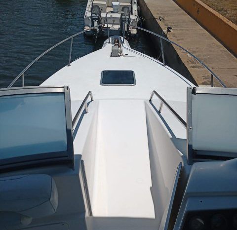 
								SEA RAY SEDAN BRIDGE 35 full									