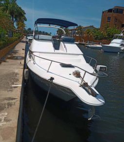 
										SEA RAY SEDAN BRIDGE 35 full									