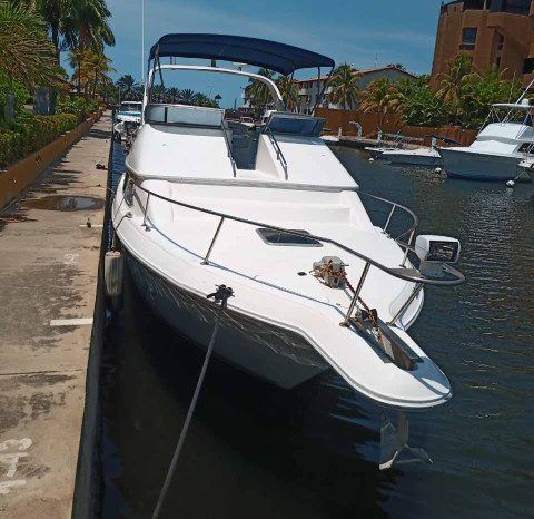 
								SEA RAY SEDAN BRIDGE 35 full									