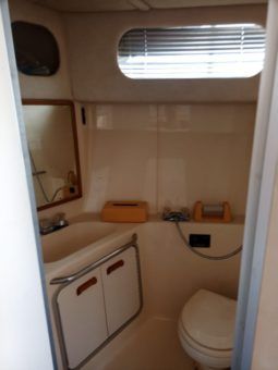 
										SEA RAY SEDAN BRIDGE 35 full									