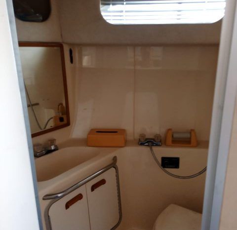 
								SEA RAY SEDAN BRIDGE 35 full									