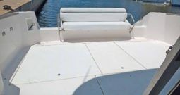 
										SEA RAY SEDAN BRIDGE 35 full									