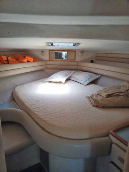 
										SEA RAY SEDAN BRIDGE 35 full									
