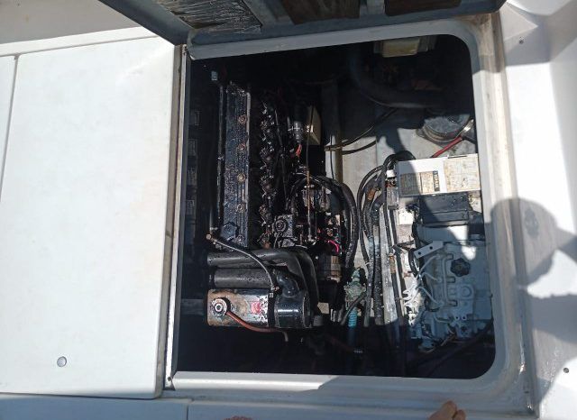 
								SEA RAY SEDAN BRIDGE 35 full									