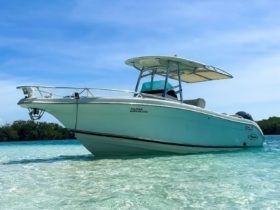 PROMARINE WAKE 21