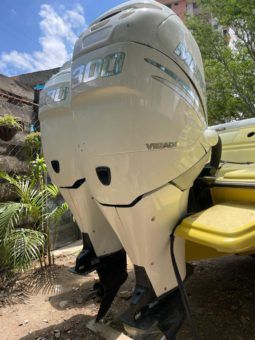 
										PROMARINE SPORT 33 full									