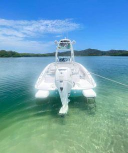 
										PRONAUTICA WAKE 21 full									