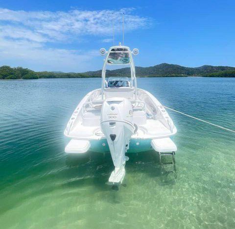 
								PRONAUTICA WAKE 21 full									