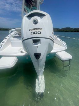 
										PRONAUTICA WAKE 21 full									