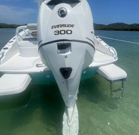 
								PRONAUTICA WAKE 21 full									