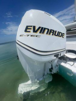 
										PRONAUTICA WAKE 21 full									