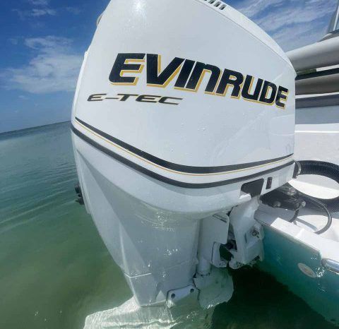 
								PRONAUTICA WAKE 21 full									