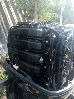 
										PAREJA MOTORES MERCURY 115HP full									