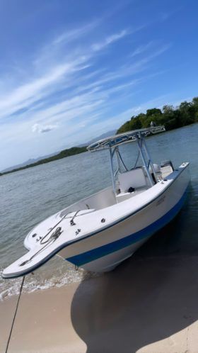 PROFINA OPEN 24