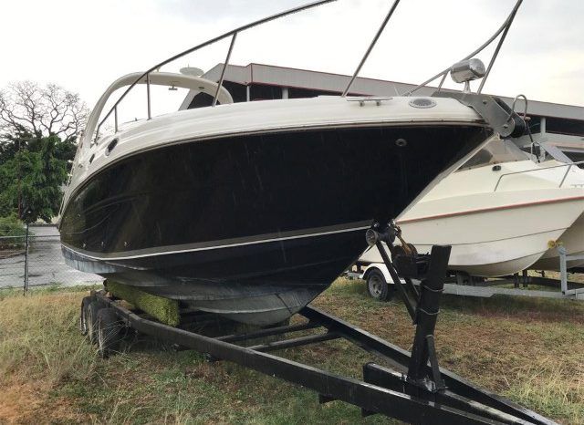 
								SEA RAY SUNDANCER 28 full									