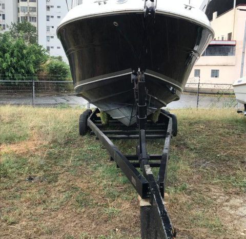 
								SEA RAY SUNDANCER 28 full									