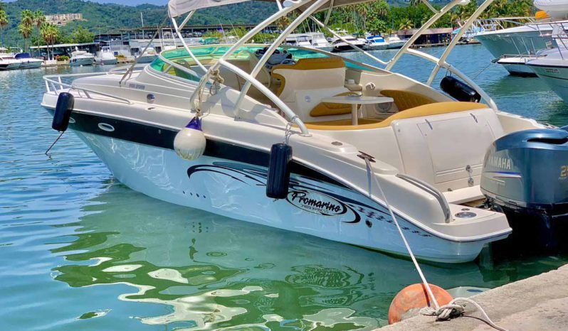 
								PROMARINE EXPRESS 34 full									