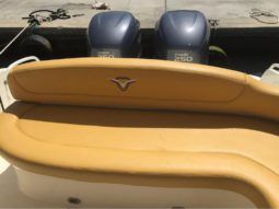 
										PROMARINE EXPRESS 34 full									
