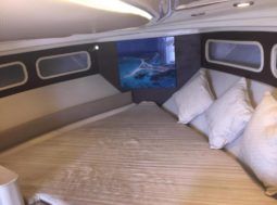 
										PROMARINE EXPRESS 34 full									
