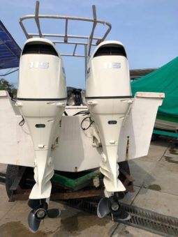 
										PAREJA DE SUZUKI 115HP full									