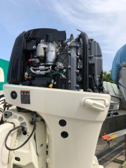 
										PAREJA DE SUZUKI 115HP full									