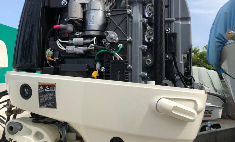 
								PAREJA DE SUZUKI 115HP full									