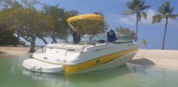
										CHAPARRAL SS1 210 full									