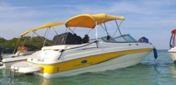
										CHAPARRAL SS1 210 full									