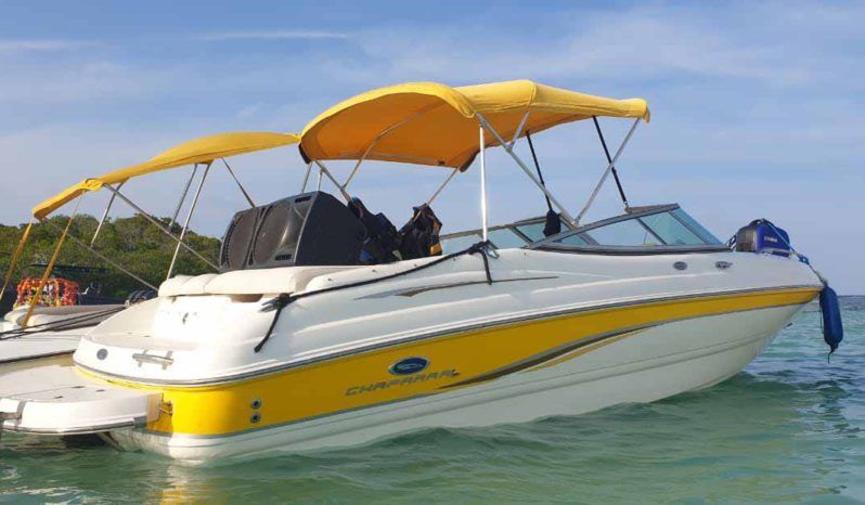 
								CHAPARRAL SS1 210 full									