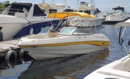 
										CHAPARRAL SS1 210 full									