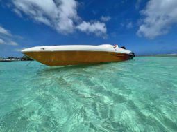 
										BLACK JACK OFF-SHORE 26 full									