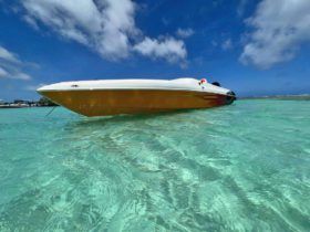 BLACK JACK OFF-SHORE 26